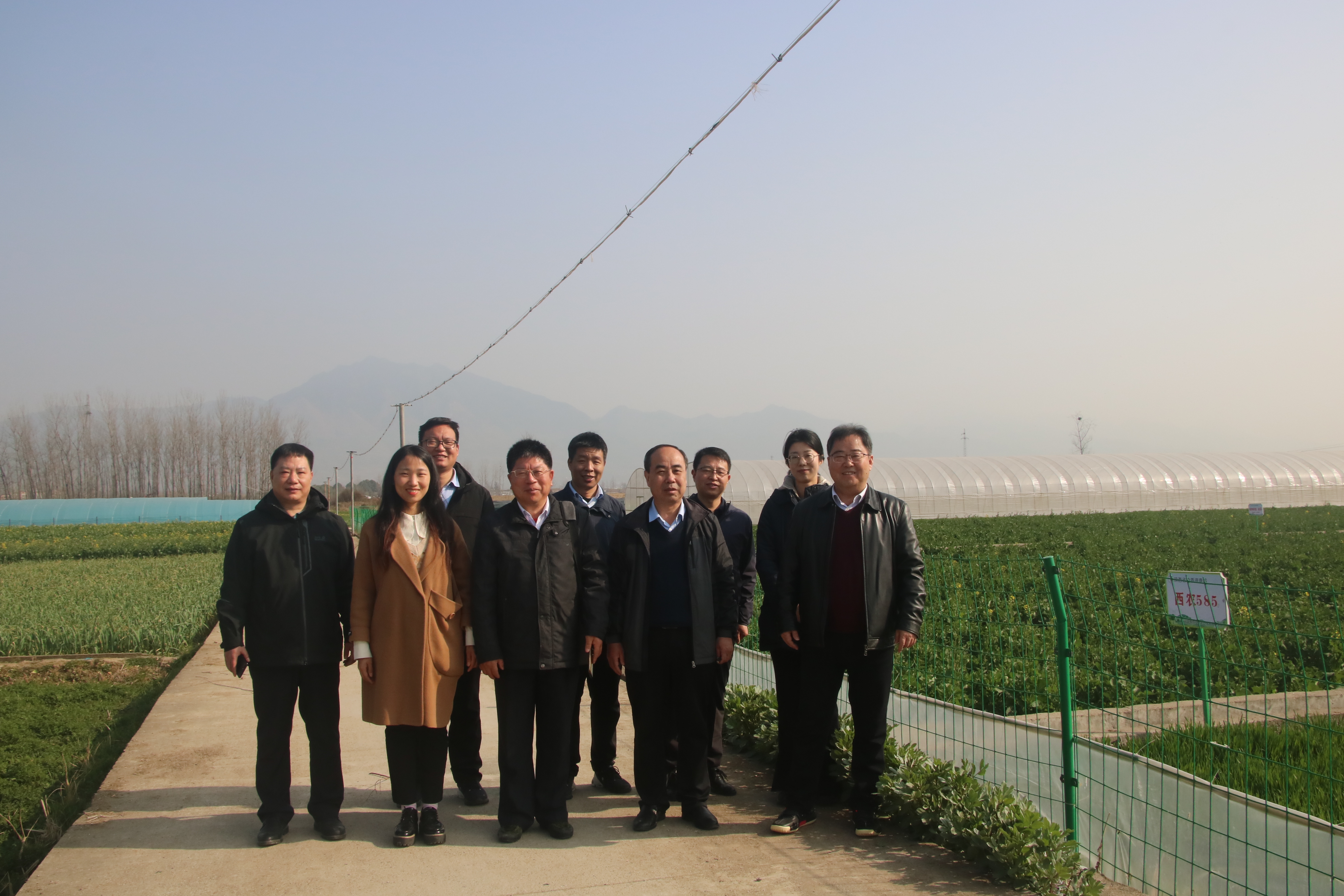 1678762600732013.jpg 1678762600732013.jpg